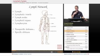 quotLymphatic Systemquot  Anatomy amp Physiology with Educatorcom [upl. by Nic]