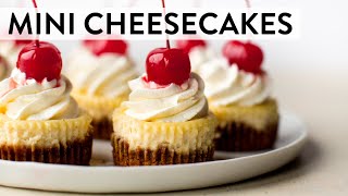 Mini Cheesecakes  Sallys Baking Recipes [upl. by Enilekcaj]