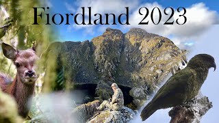 NZ Fiordland Wapiti  Elk Hunting Edith 2023 [upl. by Barthelemy948]