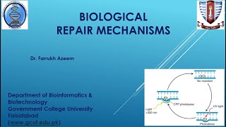 Lecture 1 Biological Repair mechanism [upl. by Eads985]