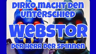 DIRKO MACHT DEN UNTERSCHIED  DER FIGURENCHECK  HEUTE WEBSTOR [upl. by Aiam453]