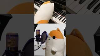 What Was I Made For Cover by Big JCat of cover by Bongo Cat of Billie Eilish [upl. by Linders83]