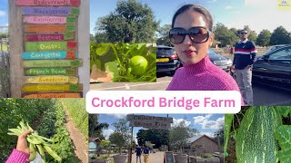 Crockford Bridge Farm Vegetable amp Fruits Selling  Farmers Hard Worker farming The Mahalaxmi Show [upl. by Sevy]