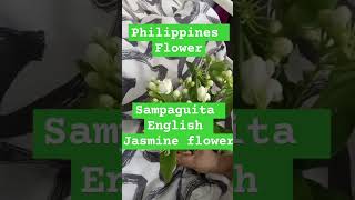 Philippines national flowers Sampaguita English name  jasmdn flower music dance lyrics subs [upl. by Sheila]