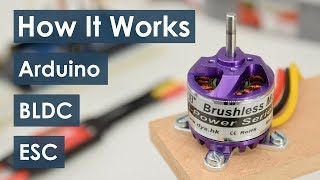 How Brushless Motor and ESC Work and How To Control them using Arduino [upl. by Etnaud]