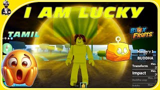 Blox fruit I GOT BUDHHA FRUIT PART2 TAMIL bloxfruits bloxfruittamilgameplay [upl. by Ddej]