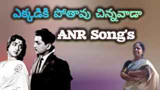 Ekkadiki Poothavu చిన్నవాడా Song  Chitapata Chinukulu Songs ANRSaroja Devi Movie Old Telugu songs [upl. by Pack968]