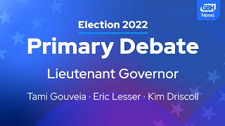 Massachusetts Primary Debate Lieutenant Governor Race [upl. by Srevart]