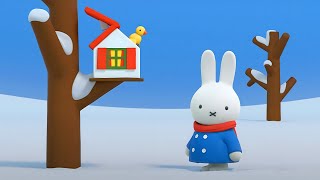 Miffy and the little snow bird  Miffys Adventures Big amp Small  Winter Episodes [upl. by Mika]