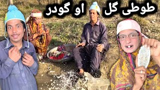 Tuti Gull Aw Godar  Pashto New Funny Video 2023  Tuti Gull Official [upl. by Ameyn469]