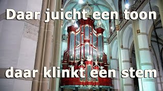 Daar juicht een toon daar klinkt een stem  orgelimprovisatie Sint Maartenskerk Zaltbommel orgel [upl. by Garap]