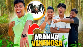 😱ENCONTRAMOS UMA ARANHA MUITO VENENOSA🕷️😰 Estevão foi mordido [upl. by Okubo]