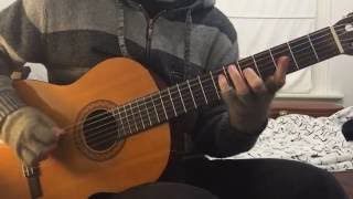 Cannibal Corpse Frantic Disembowelment  Acoustic Cover Studies [upl. by Madonia136]