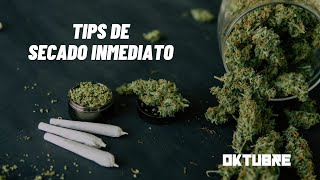 TIPS DE SECADO INMEDIATO Demi Roch con Ramiro Ruffini [upl. by Gherardi]