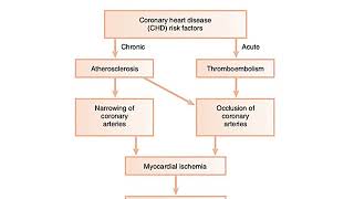 Periodontal Medicine Part 2 [upl. by Crellen683]