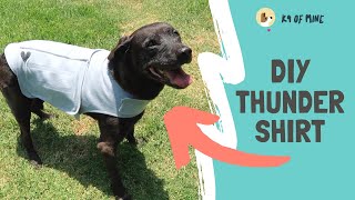 DIY Thundershirt How to Make a Dog Anxiety Wrap for Fireworks Fear [upl. by Navets439]