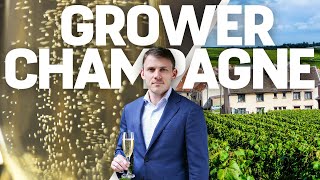 5 Champagne Producers To Know  Master of Wine Recommendations [upl. by Nehcterg]