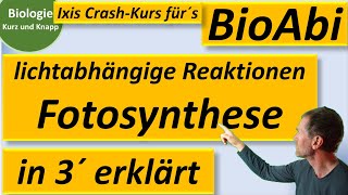 Lichtabhängige Reaktionen der Fotosynthese in 3 Minuten erklärt  Biologie kurz und knapp  BioIxi [upl. by Nirrek]