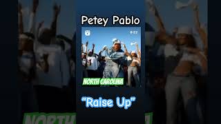 Petey Pablo “ Raise Up” viralvideo rap music shorts short shortvideo shortsfeed new funny [upl. by Eryt]