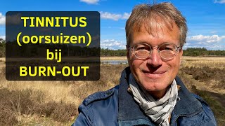 TINNITUS oorsuizingen bij burnout Kom ik er ooit van af [upl. by Dempsey]