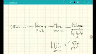 Sulfonylureas Explained in 2 Minutes [upl. by Nickey958]