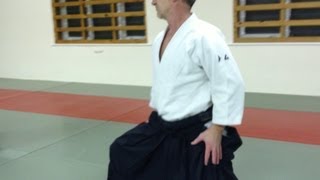 Aikido Shiko  suwari waza knee walking [upl. by Iteerp]