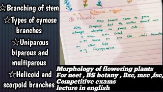 scorpoid branches amp helicoid branchestypes of uniparous cymose branches  chapter stem part 8 neet [upl. by Lalaj]