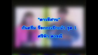 เพลงดาวอีสาน quotEsan Starquot [upl. by Nitsyrk]