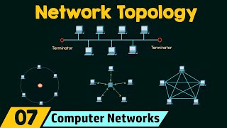 Network Topology [upl. by Napoleon855]