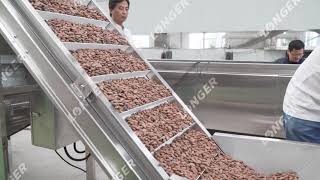 How Cocoa Powder is Made in Factory Cocoa Powder Manufacturing Process [upl. by Darcee]