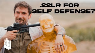 How Deadly Is A 22 Pistol 22 Pistol vs Human [upl. by Auoy]