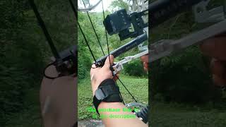 Steel Ball Compound Bow Kit Dual Purpose Bow slinsghot outdoors compoundbow bowfishing [upl. by Atiruam618]