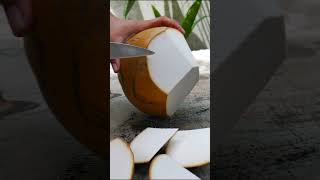 super fantastic satisfying coconut slicing technique [upl. by Cody563]