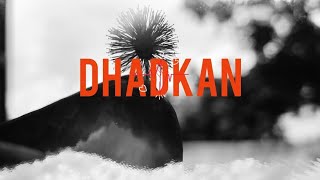 Sachin Sarangi  DHADKAN Official Video [upl. by Loginov]