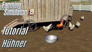 LS19 Hühner Tutorial  für Einsteiger [upl. by Eleahcim106]