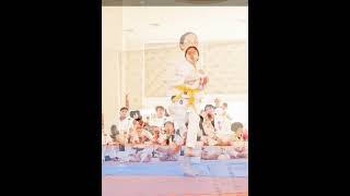 Shorinryu Shidokan  Karate Kids working on mawashi geri  roundhouse kick training [upl. by Nedmac]