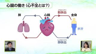 【心不全１】病気のしくみとその原因は？ 東京大学 特任講師 網谷 英介 先生 [upl. by Raclima]