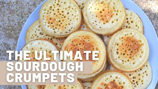 Sourdough Crumpet recipe  Delicious and easy  Bubbly and light crispy amp fluffy  Never rubbery [upl. by Sim19]