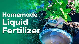 5 Easy Homemade Liquid Fertilizers from Kitchen Waste  DIY Liquid Fertilizers from Kitchen Waste [upl. by Okemak]