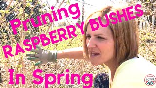 Pruning Raspberry Bushes in Spring  MomLife Crisis  How Tos [upl. by Sanson]