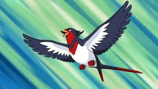 All Ashs Swellow attacks  peck  wing attack  etc   Pokemon  Advanced battle [upl. by Katlaps998]