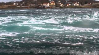 Riding the whirlpools of the worlds strongest tidal current at Saltstraumen Norway [upl. by Anyale]