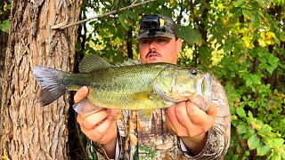 Flooded Creek LOADED With Fish [upl. by Cobbie]