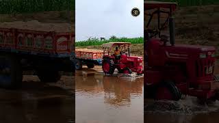 ll full sand loading drive in the Mahindra 415DItractor🚜🤩❣️❣️❣️llshortsviralshortsvideo [upl. by Olympias]