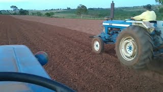 Plantando amendoim com o Ford 4600 e Plantadeira Tatú T2SI [upl. by Gulgee620]