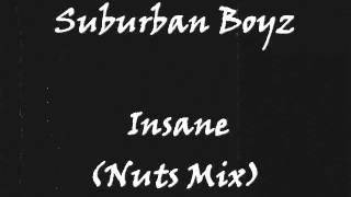 Suburban Boyz  Insane Nuts Mix [upl. by Ellimak]