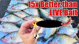 this New Lure OUT FISHES Live Bait 15 to 1 BEST Crappie amp Bass Winter Bait [upl. by Wobniar]