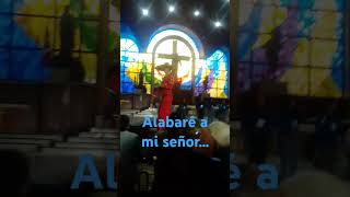 ALABARÉ A MÍ SEÑOR [upl. by Gunnar696]