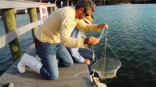 How to Catch Blue Crabs [upl. by Bartolome]