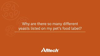 Why are there so many different yeasts listed on my pets food label [upl. by Enialehs]